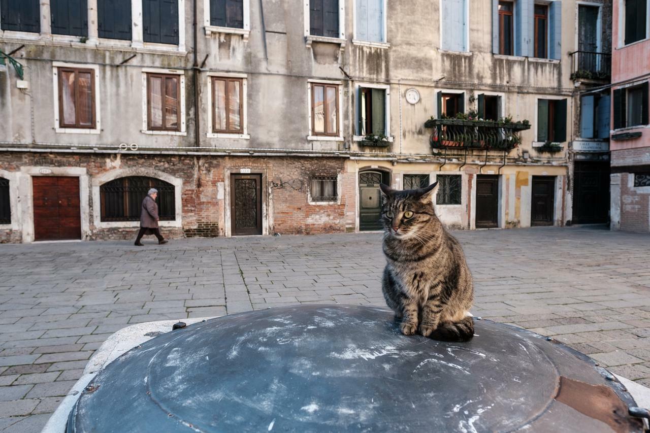 Ca' Bernarda Apartment Venice Exterior photo